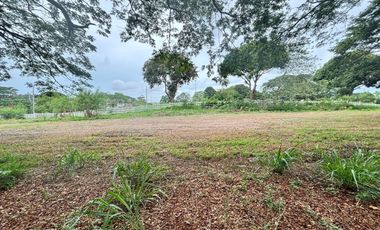 For Sale: Prime Residential Lot in Orchard Golf & Country Club, Dasmariñas Cavite