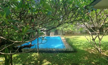 For Rent House at Kemang South Jakarta Swimming Pool and Big Garden