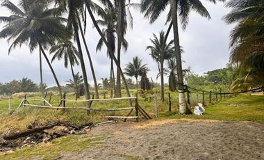 Lotes en Cojimies con acceso directo a la playa