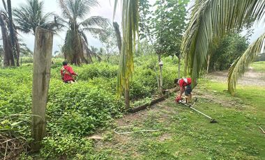 Lotes en Cojimies con acceso directo a la playa