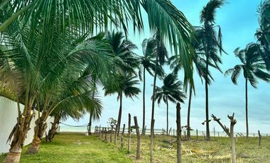 Lotes en Cojimies con acceso directo a la playa