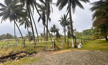 Lotes en Cojimies con acceso directo a la playa