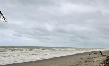 Lotes en Cojimies con acceso directo a la playa