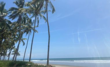 Lotes en Cojimies con acceso directo a la playa