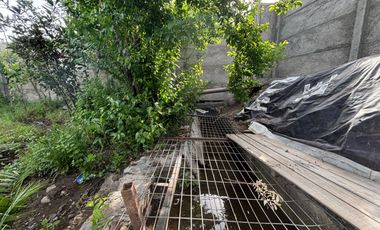 Panquehue – Venta casa en Palomar interior