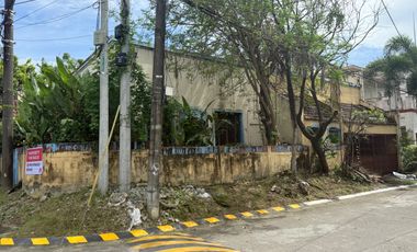 FOR SALE! BAYANIHAN VILLAGE, BF HOMES PARANAQUE PROPERTY!