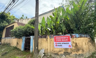FOR SALE! BAYANIHAN VILLAGE, BF HOMES PARANAQUE PROPERTY!