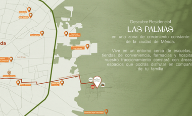 PALMAS NUEVO ORIENTE - MOD. 134C