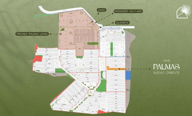 PALMAS NUEVO ORIENTE - MOD. 134C