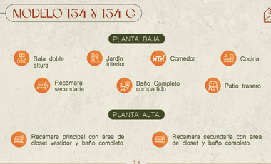 PALMAS NUEVO ORIENTE - MOD. 134C