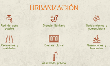 PALMAS NUEVO ORIENTE - MOD. 134C