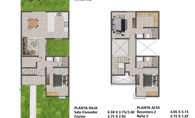 PALMAS NUEVO ORIENTE - MOD. 134C