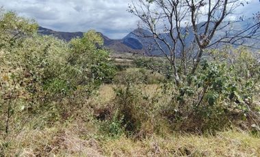 VENTA LOTE ARGUELLO BAJO YACUANQUER