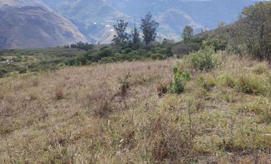VENTA LOTE ARGUELLO BAJO YACUANQUER