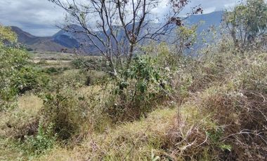VENTA LOTE ARGUELLO BAJO YACUANQUER