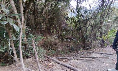 VENTA LOTE ARGUELLO BAJO YACUANQUER