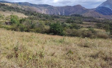 VENTA LOTE ARGUELLO BAJO YACUANQUER