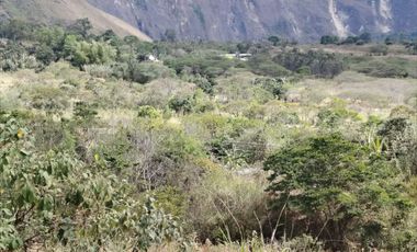 VENTA LOTE ARGUELLO BAJO YACUANQUER