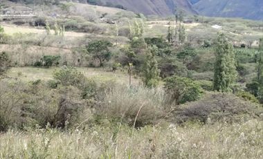 VENTA LOTE ARGUELLO BAJO YACUANQUER