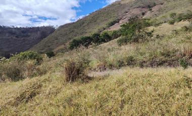 VENTA LOTE ARGUELLO BAJO YACUANQUER
