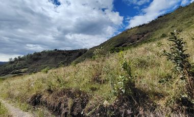 VENTA LOTE ARGUELLO BAJO YACUANQUER