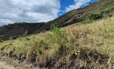 VENTA LOTE ARGUELLO BAJO YACUANQUER