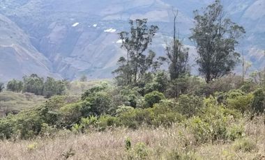 VENTA LOTE ARGUELLO BAJO YACUANQUER
