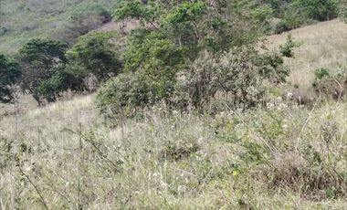 VENTA LOTE ARGUELLO BAJO YACUANQUER