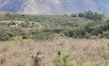 VENTA LOTE ARGUELLO BAJO YACUANQUER