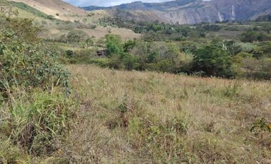 VENTA LOTE ARGUELLO BAJO YACUANQUER