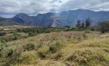 VENTA LOTE ARGUELLO BAJO YACUANQUER