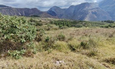 VENTA LOTE ARGUELLO BAJO YACUANQUER