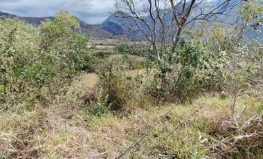 VENTA LOTE ARGUELLO BAJO YACUANQUER