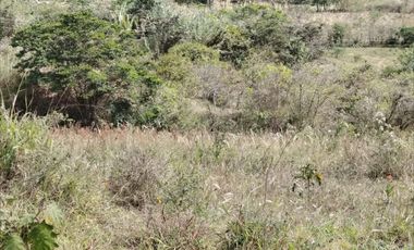VENTA LOTE ARGUELLO BAJO YACUANQUER