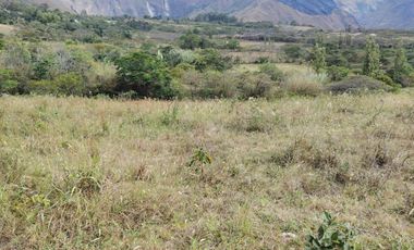 VENTA LOTE ARGUELLO BAJO YACUANQUER