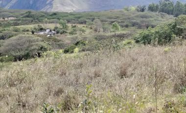 VENTA LOTE ARGUELLO BAJO YACUANQUER