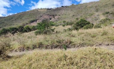 VENTA LOTE ARGUELLO BAJO YACUANQUER