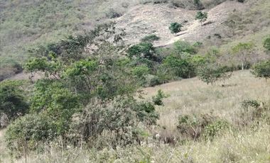 VENTA LOTE ARGUELLO BAJO YACUANQUER