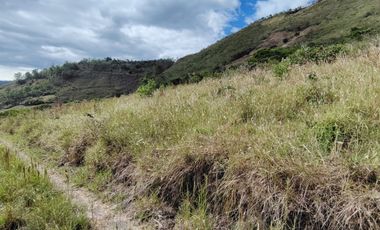 VENTA LOTE ARGUELLO BAJO YACUANQUER