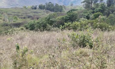 VENTA LOTE ARGUELLO BAJO YACUANQUER