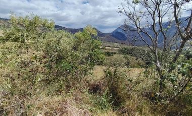 VENTA LOTE ARGUELLO BAJO YACUANQUER