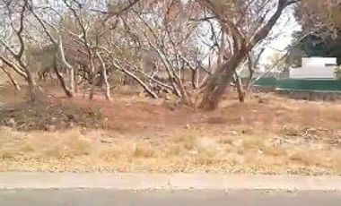 VENTA DE TERRENO EN FRACCIONAMIENTO LOMAS DE COCOYOC MORELOS