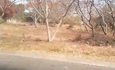 VENTA DE TERRENO EN FRACCIONAMIENTO LOMAS DE COCOYOC MORELOS