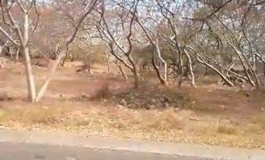 VENTA DE TERRENO EN FRACCIONAMIENTO LOMAS DE COCOYOC MORELOS