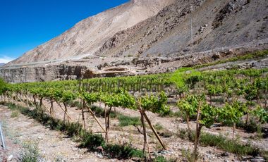 Venta de grandes terrenos en Huanta a orilla de carretera. Valle del Elqui.