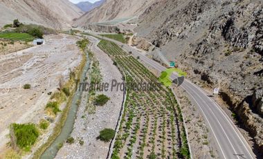 Venta de grandes terrenos en Huanta a orilla de carretera. Valle del Elqui.