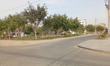 Tu Mejor Inversión En San Martín De Porres! Terreno De 160M2
