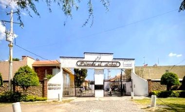 EN RENTA Casa de 3 Rec. En Privada El Árbol, en Zona Norte.