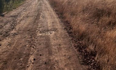 Vendo  Parcela en Peumo Negro  San Clemente  V 1686-P-20-LR-11.25