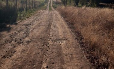 Vendo  Parcela en Peumo Negro  San Clemente  V 1686-P-20-LR-11.25